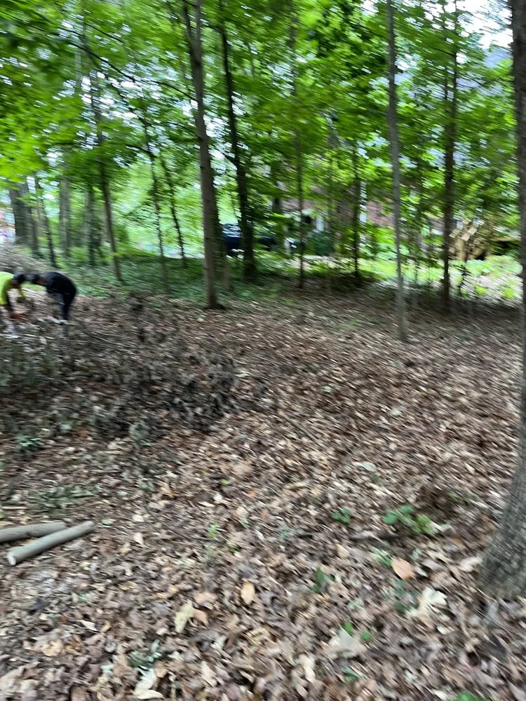 Reliable landscaping services in Stallings, NC - IS Landscape