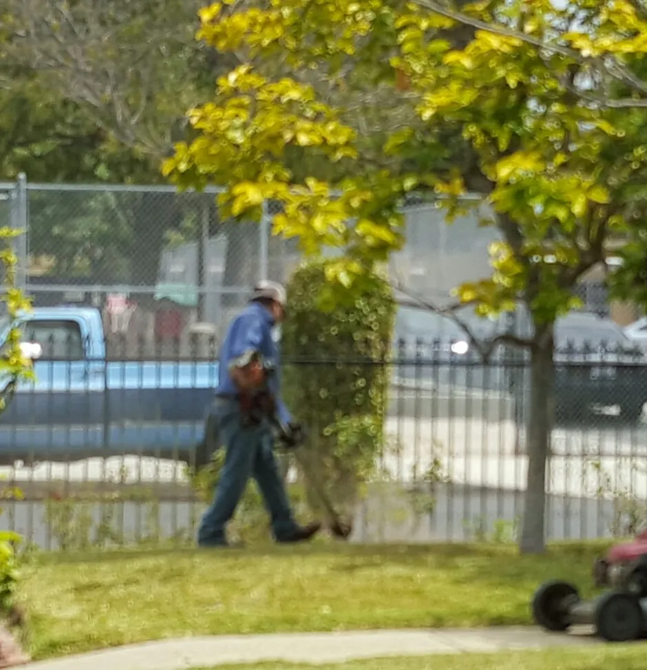 Custom landscape design in Los Angeles, CA by I.S. Professional Landscaping Services