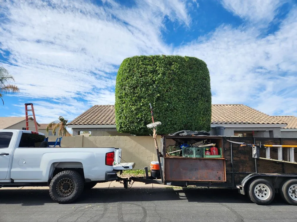 Trusted residential landscaping in Chandler, AZ by Isaac and Brothers Landscaping