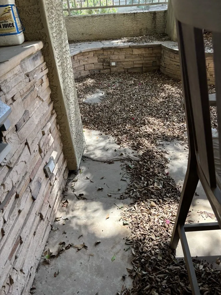 Affordable lawn care service in Chandler, AZ - Isaac and Brothers Landscaping