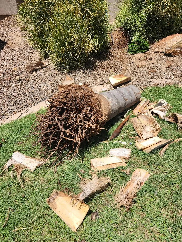 Affordable outdoor landscaping in Chandler, AZ - Isaac and Brothers Landscaping