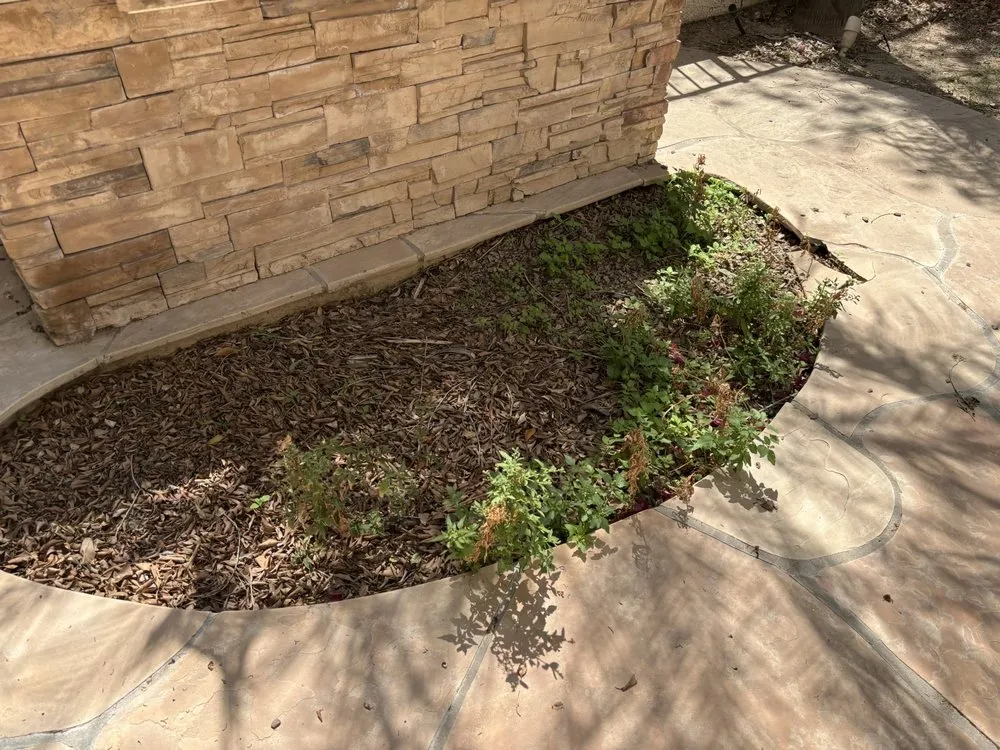 Affordable outdoor landscaping near you across Chandler, AZ - Isaac and Brothers Landscaping