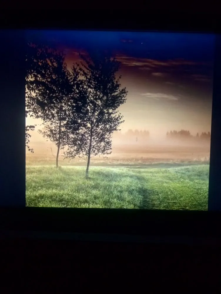 Professional garden landscaping for homes in Clovis, NM by Isaac Castillo Services