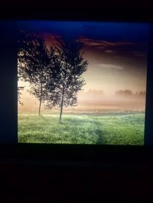 Isaac Castillo Services Logo