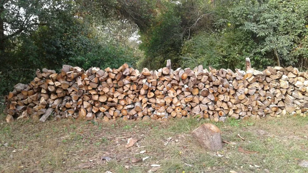 Custom landscape installation in Camden, SC - Isaac Gary Lawn Care