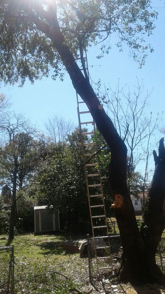 Local residential landscaping experts serving Camden, SC - Isaac Gary Lawn Care