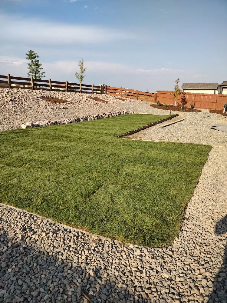 Top-rated yard maintenance in Colorado Springs, CO by ISAAC landscaping