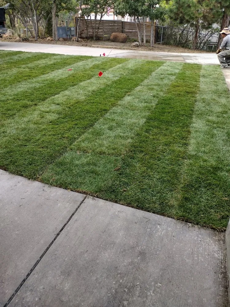 Trusted yard maintenance near you across Colorado Springs, CO - ISAAC landscaping