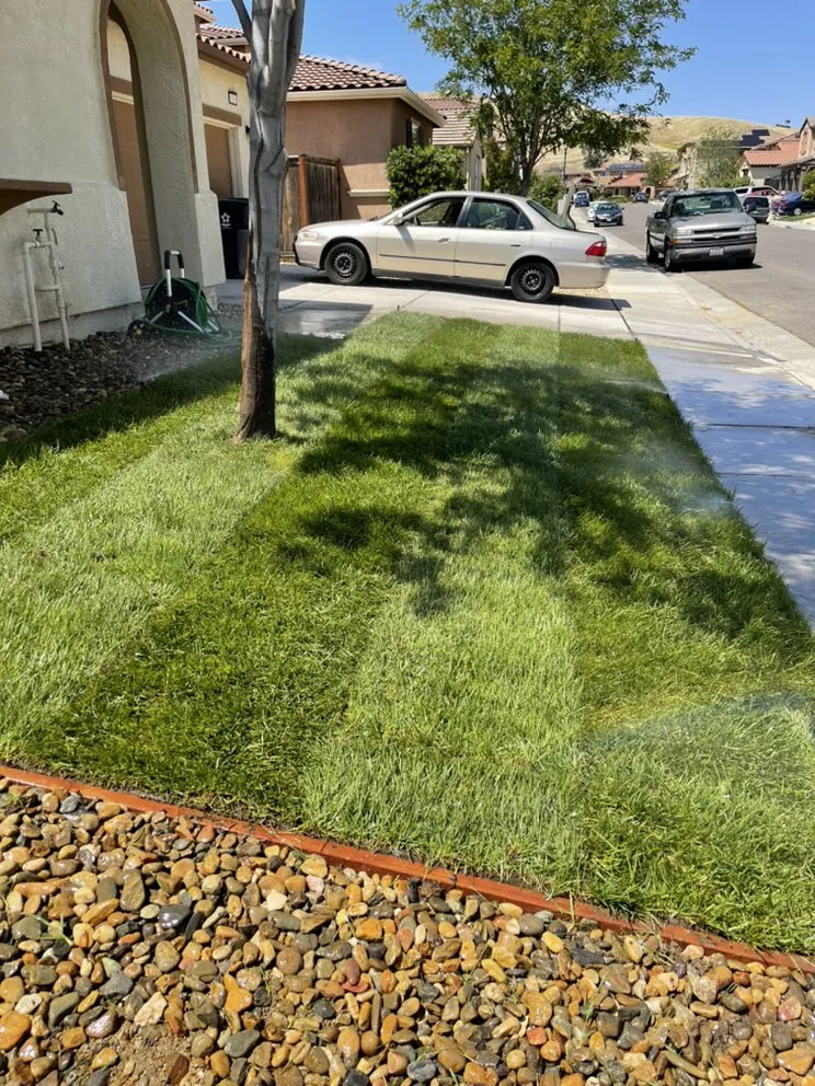 Professional residential landscaping experts serving Vacaville, CA - Isaac's Concrete