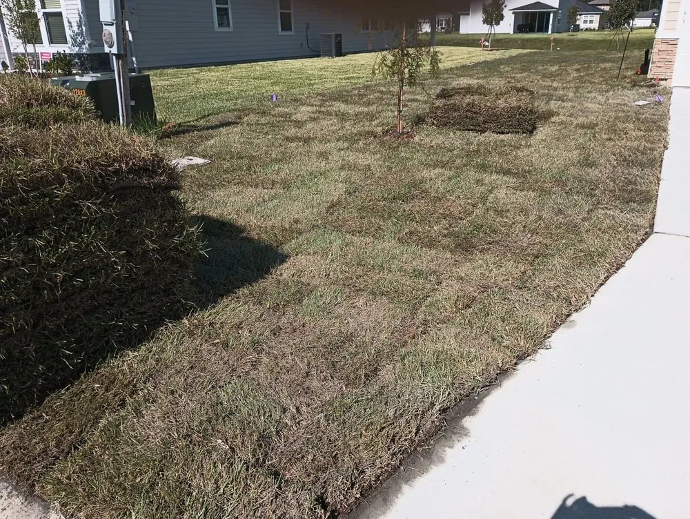 Professional landscape design in Jacksonville, FL by Isaac's Home Improvement