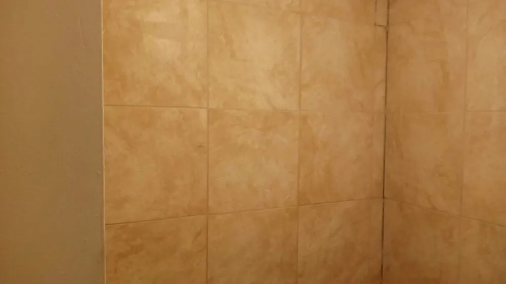 Reliable outdoor landscaping for year-round maintenance in Jacksonville, FL by Isaac's Home Improvement