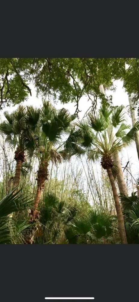 Trusted lawn mowing service in Harlingen, TX - Isaac’s Lawn Care