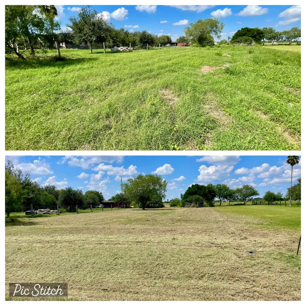 Local yard cleanup service for beautiful yards across Harlingen, TX - Isaac’s Lawn Care