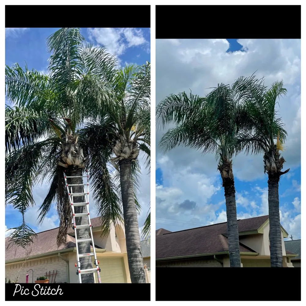 Reliable landscape design experts serving Harlingen, TX - Isaac’s Lawn Care