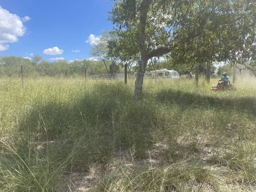 Affordable outdoor landscaping in Harlingen, TX by Isaac’s Lawn Care