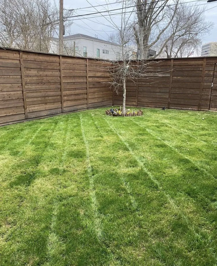 Professional yard maintenance in Dallas, TX - Isaac’s Lawn Services