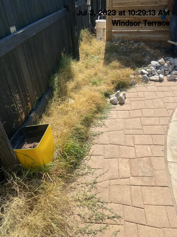 Affordable landscape design in Dallas, TX by Isaac’s Lawn Services