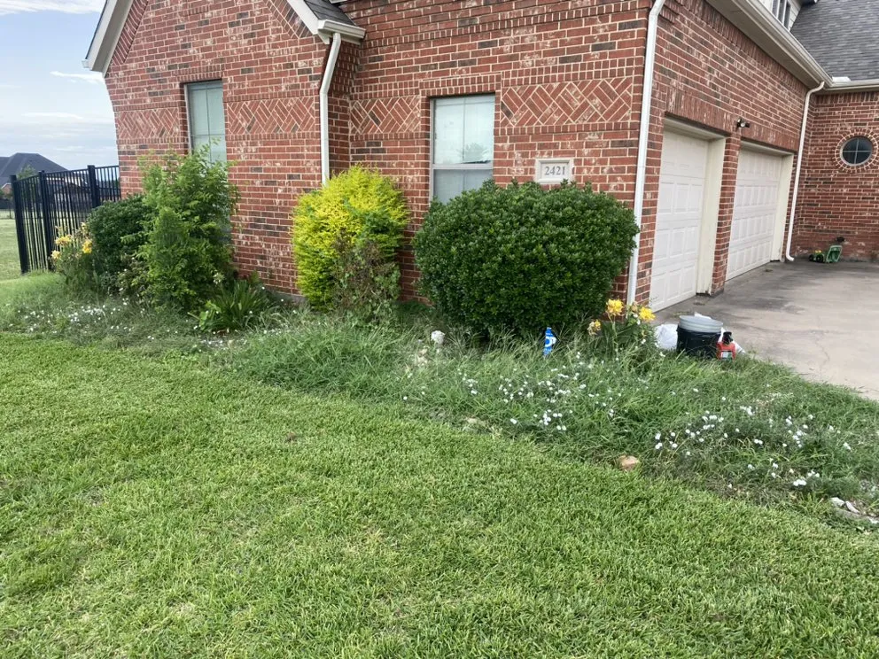 Reliable landscaping services for homes across Dallas, TX - Isaac’s Lawn Services