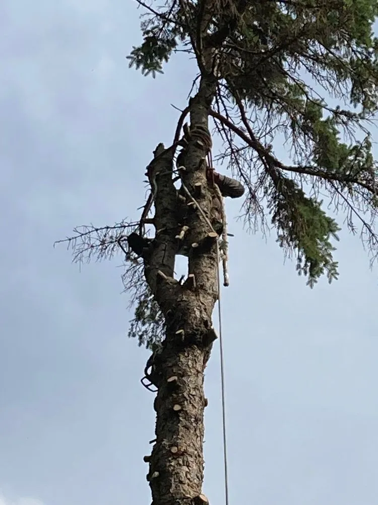 Custom outdoor landscaping in Harvard, IL by Isabel's Lawn Care