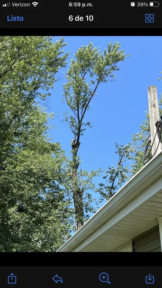 Custom landscaping services in Harvard, IL - Isabel's Lawn Care