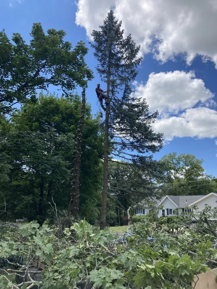 Local yard cleanup service for year-round maintenance across Harvard, IL - Isabel's Lawn Care