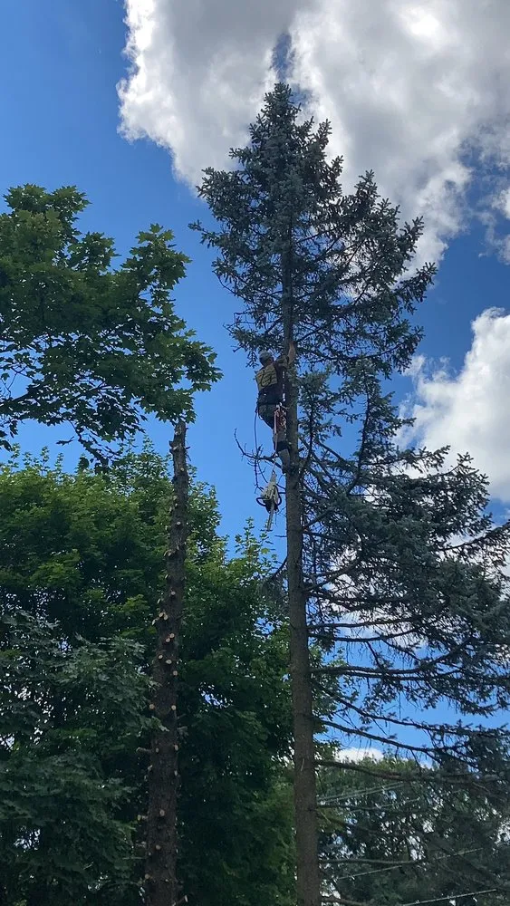 Local garden landscaping for year-round maintenance across Harvard, IL - Isabel's Lawn Care