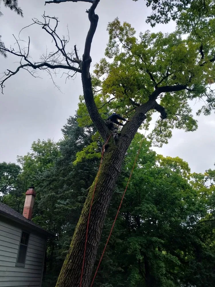 Expert landscaping services for residential properties in Harvard, IL by Isabel's Lawn Care