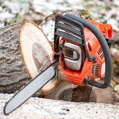 Top-rated garden landscaping near you across Harvard, IL - Isabel's Lawn Care