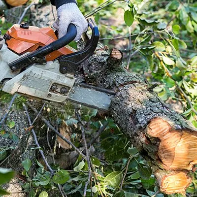 Expert yard maintenance for residential properties across Harvard, IL - Isabel's Lawn Care