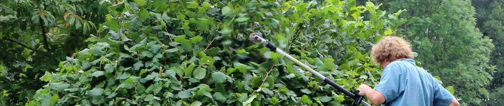 Top-rated residential landscaping in Harvard, IL - Isabel's Lawn Care