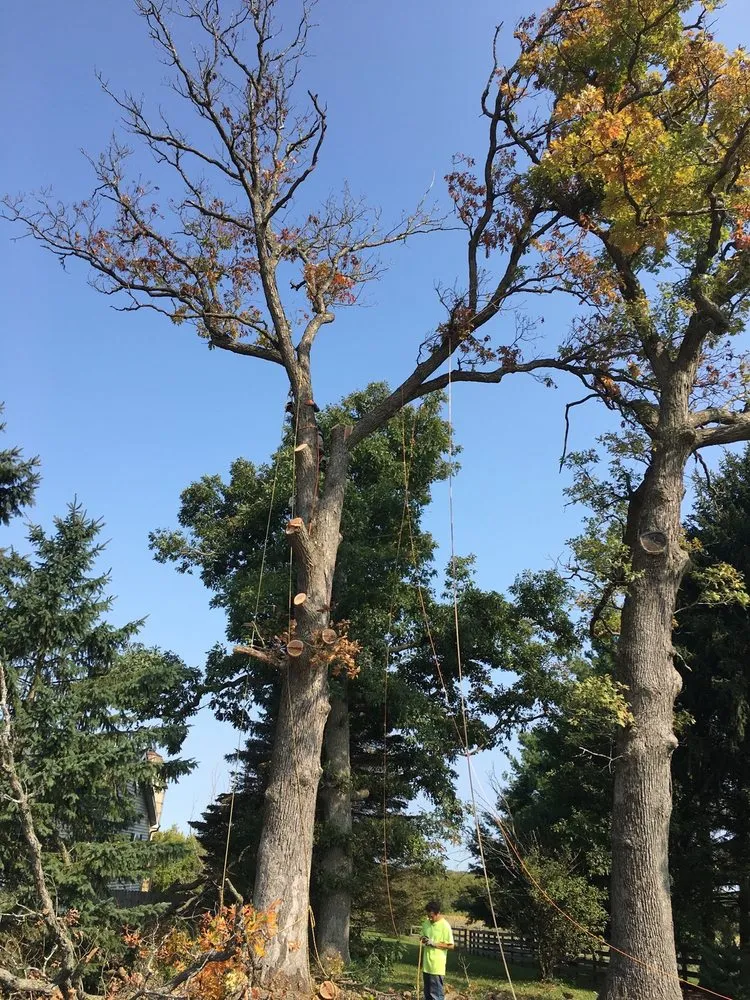 Trusted garden landscaping in Harvard, IL - Isabel's Lawn Care