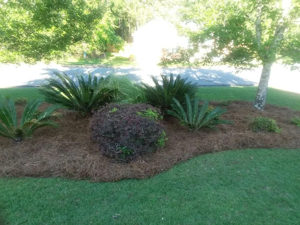 Local residential landscaping for year-round maintenance in Tallahassee, FL by Isadore Johnson's Miscellaneous Services