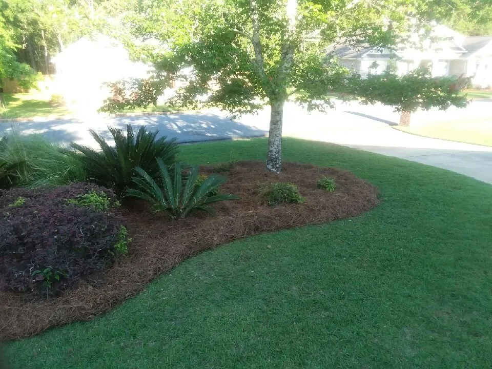 Professional garden landscaping in Tallahassee, FL by Isadore Johnson's Miscellaneous Services