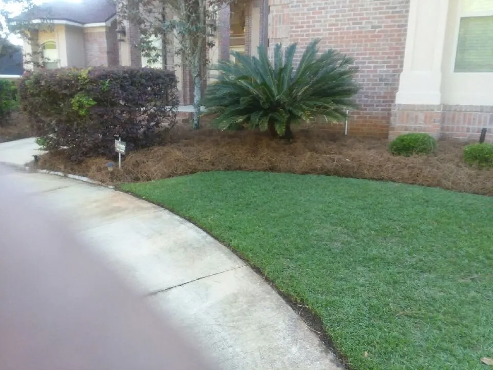 Professional landscaping services in Tallahassee, FL - Isadore Johnson's Miscellaneous Services