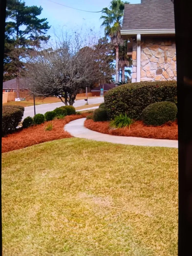 Custom lawn mowing service experts serving Tallahassee, FL - Isadore Johnson's Miscellaneous Services