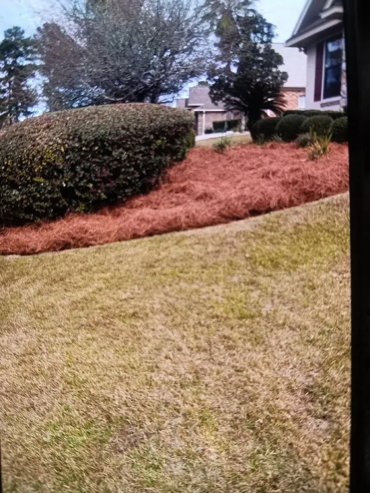 Local landscape installation in Tallahassee, FL - Isadore Johnson's Miscellaneous Services