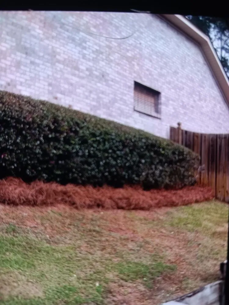 Top-rated landscaping services experts serving Tallahassee, FL - Isadore Johnson's Miscellaneous Services