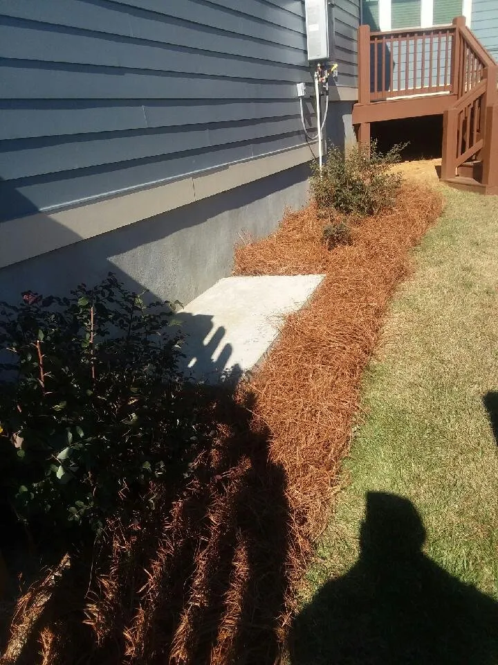 Reliable landscaping services in Tallahassee, FL - Isadore Johnson's Miscellaneous Services