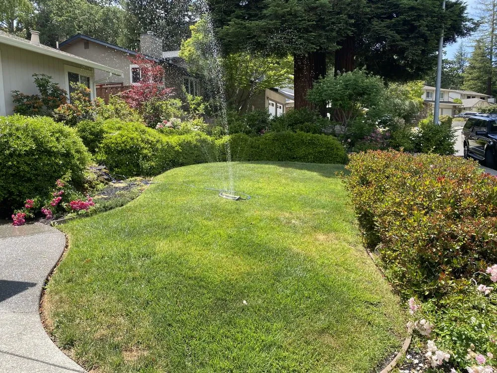 Trusted landscape design near you in Modesto, CA by Isael and amys landscaping