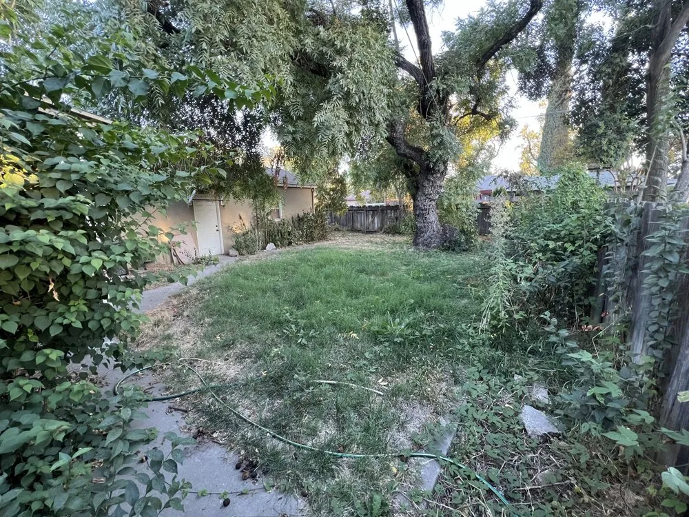 Professional landscaping services in Modesto, CA by Isael and amys landscaping