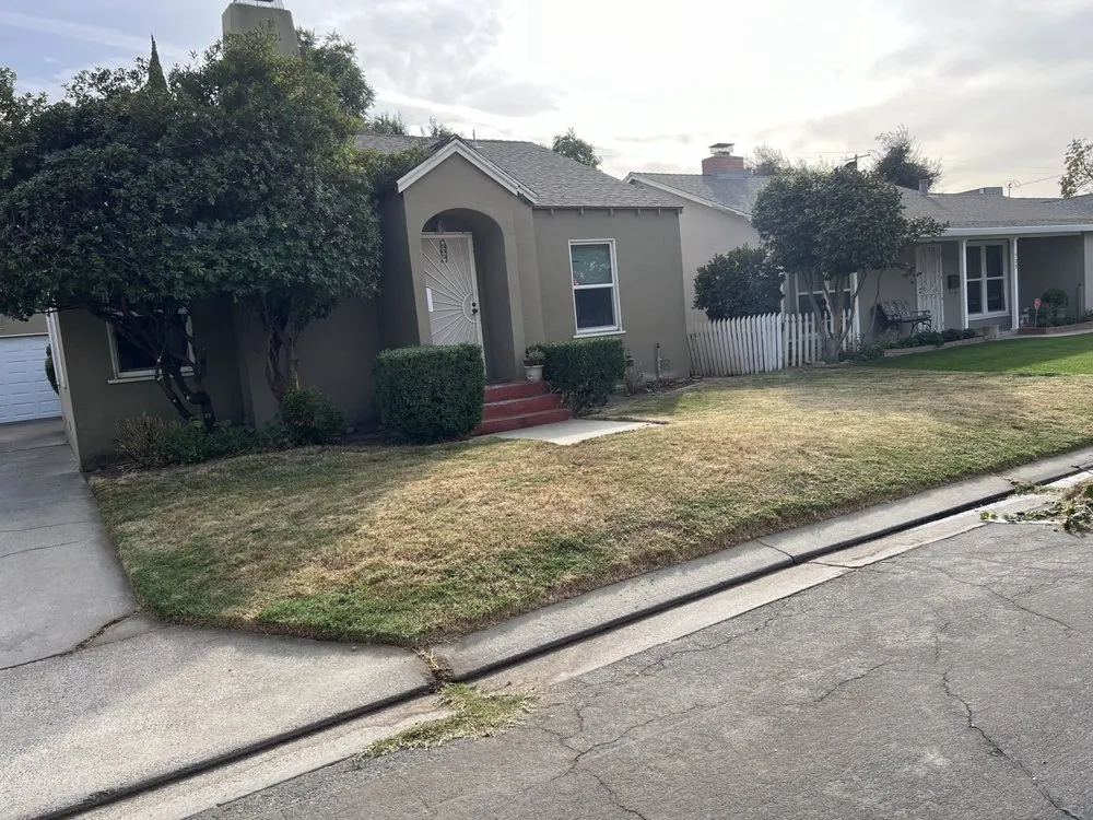 Top-rated landscape design for year-round maintenance in Modesto, CA by Isael and amys landscaping