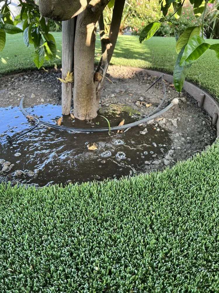 Local lawn mowing service experts serving Modesto, CA - Isael and amys landscaping