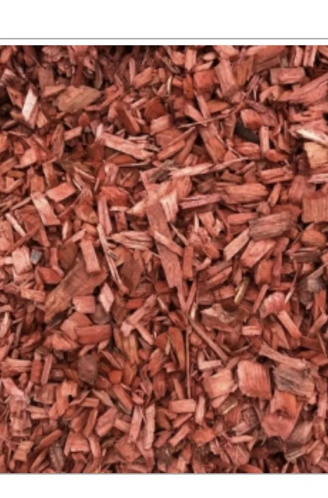 Top-rated yard maintenance in Modesto, CA - Isael and amys landscaping