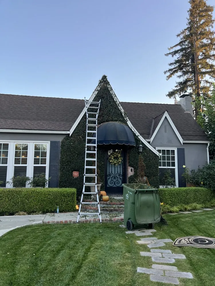 Professional lawn mowing service in Modesto, CA - Isael and amys landscaping