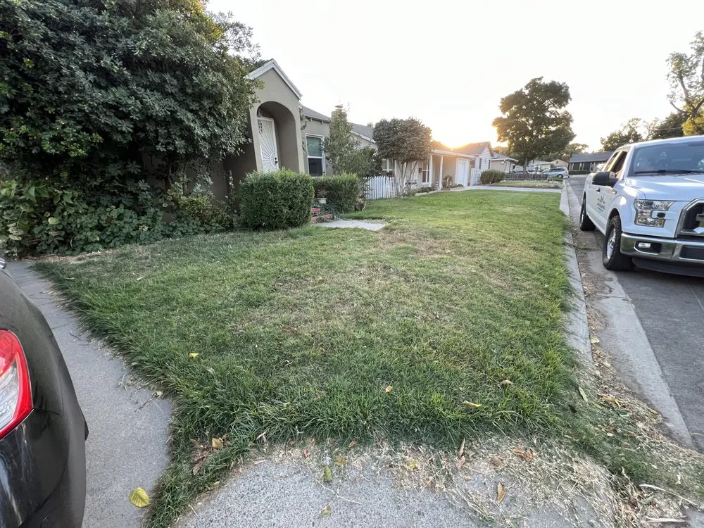 Professional landscaping services for outdoor upgrades in Modesto, CA by Isael and amys landscaping