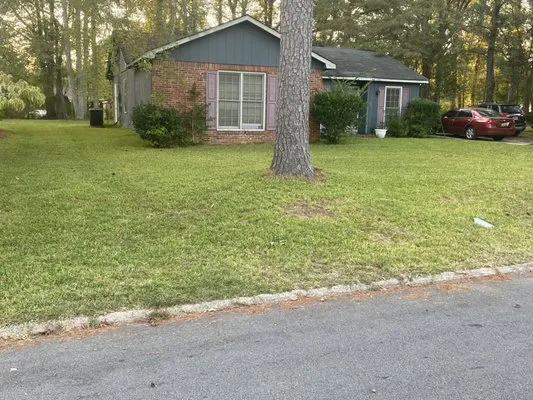 Isaiah landscape Logo