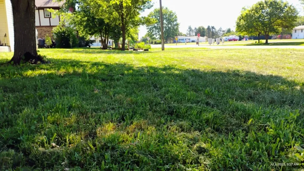 Reliable lawn care service for beautiful yards in Gardner, IL by Isaiah Landscaping