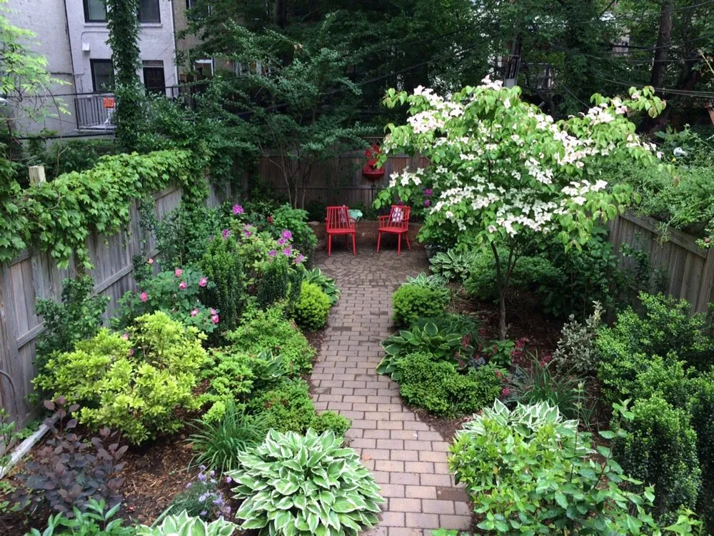 Expert landscape installation for year-round maintenance in Fresh Meadows, NY by Isaiah's Figtree