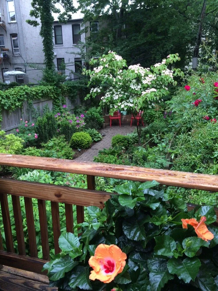 Expert outdoor landscaping for outdoor upgrades across Fresh Meadows, NY - Isaiah's Figtree