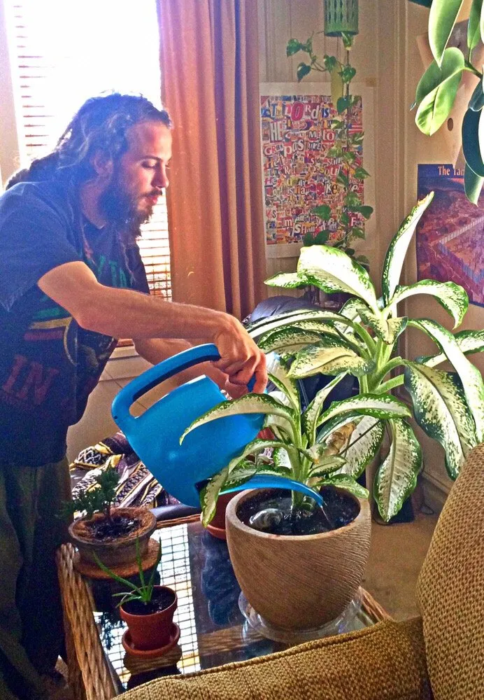 Top-rated residential landscaping experts serving Fresh Meadows, NY - Isaiah's Figtree